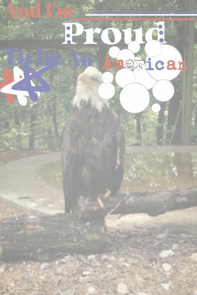 [🇺🇸Click here🇺🇸]
So I actually hate this song but I made this for my sis @monie_monie and took this pic today at a bird shelter

Check comments if you'd like...