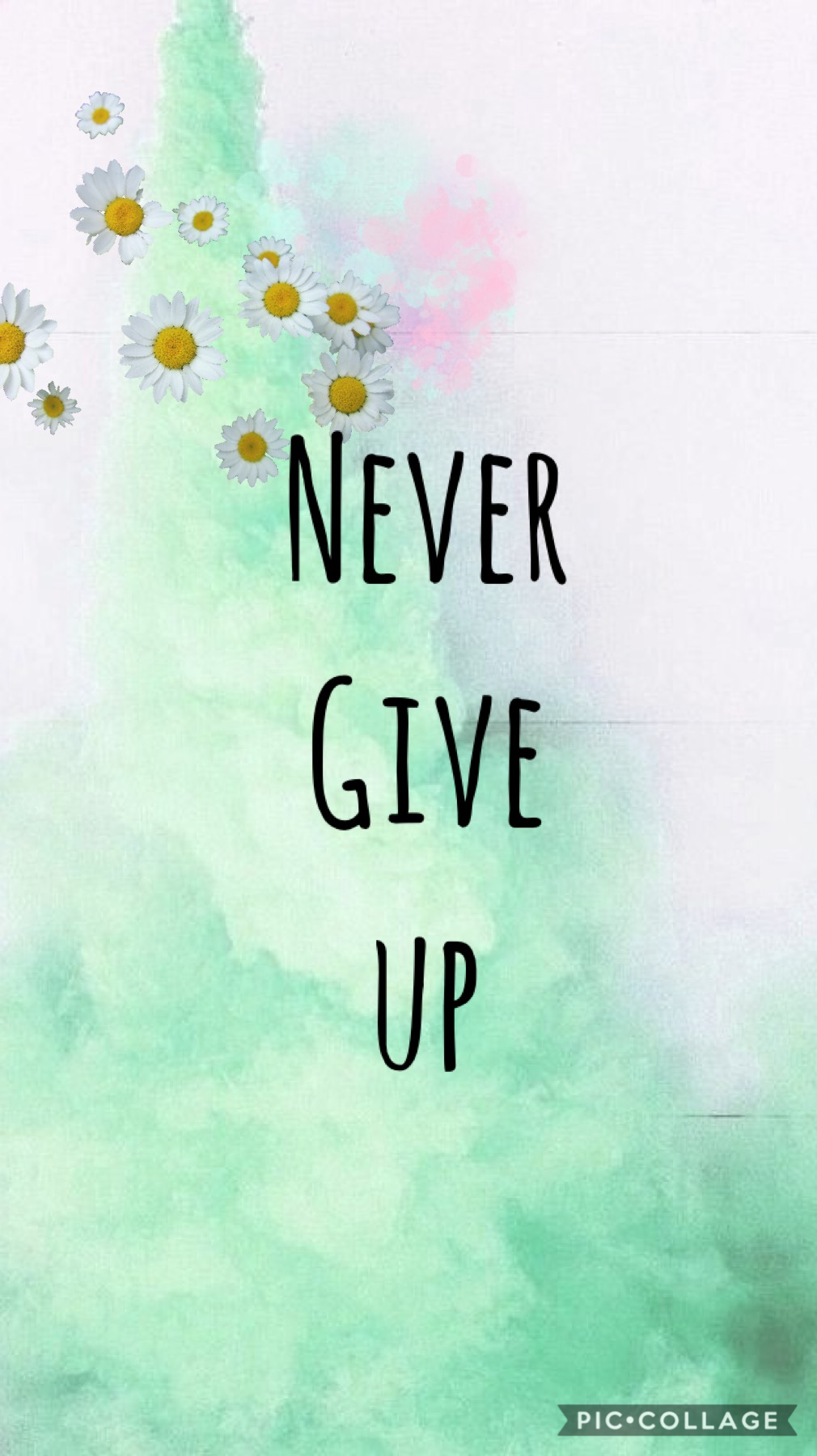 🌼Never Give Up🌼
