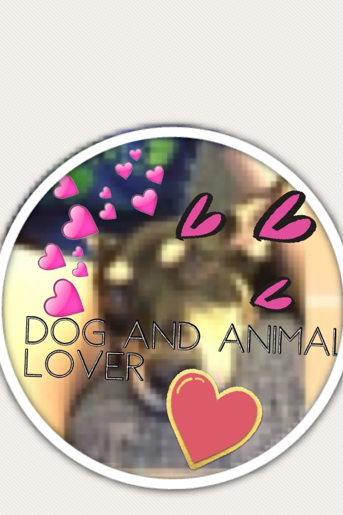 Dog and animal lover for u 