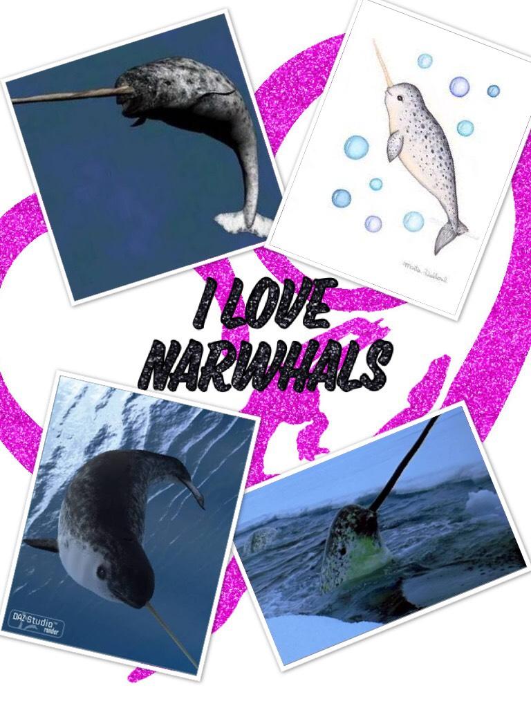 I love narwhals sooooooooooooooooooooooooooooo much they are the unicorn of the sea and they are super cute and cuddly I just want to live with narwhals soooooooooooooooooooooooooo much