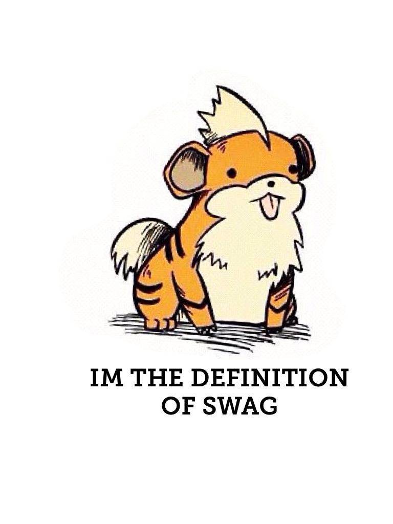 IM THE DEFINITION OF SWAG
