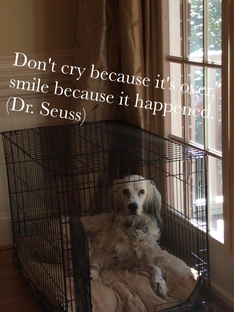 Don't cry because it's over, smile because it happened.
(Dr. Seuss)