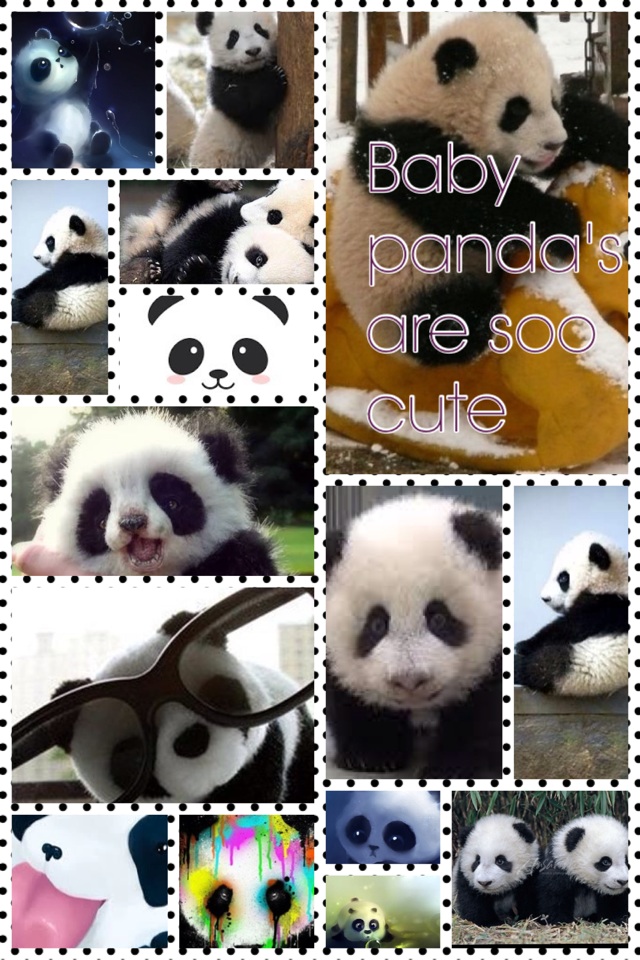 Baby panda's are soo cute 