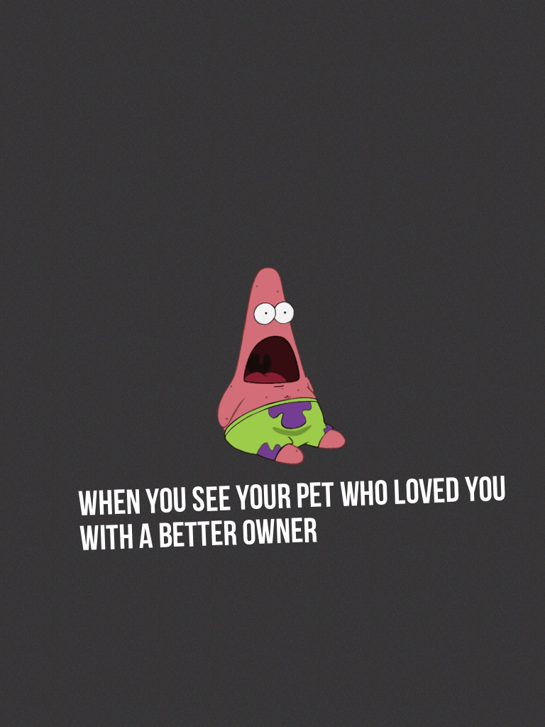 When you see your pet who loved you with a better owner