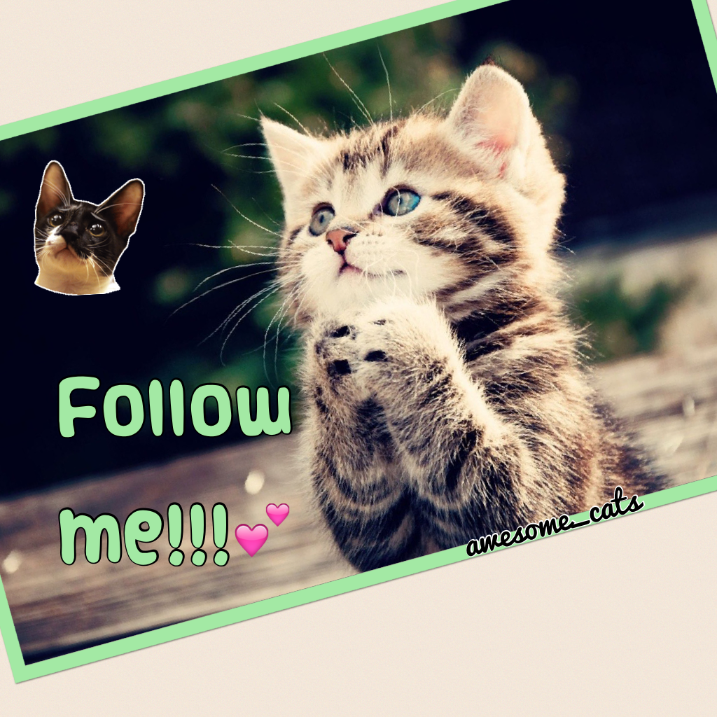 Follow 

me!!!💕