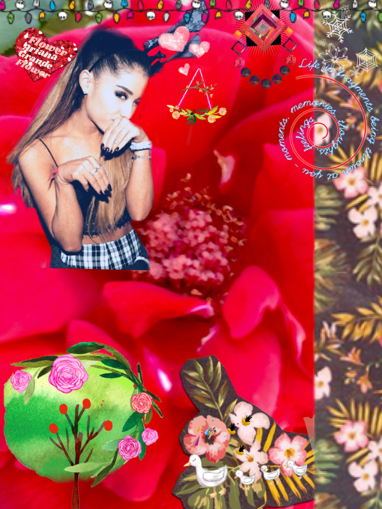 Flowers
Ariana Grande