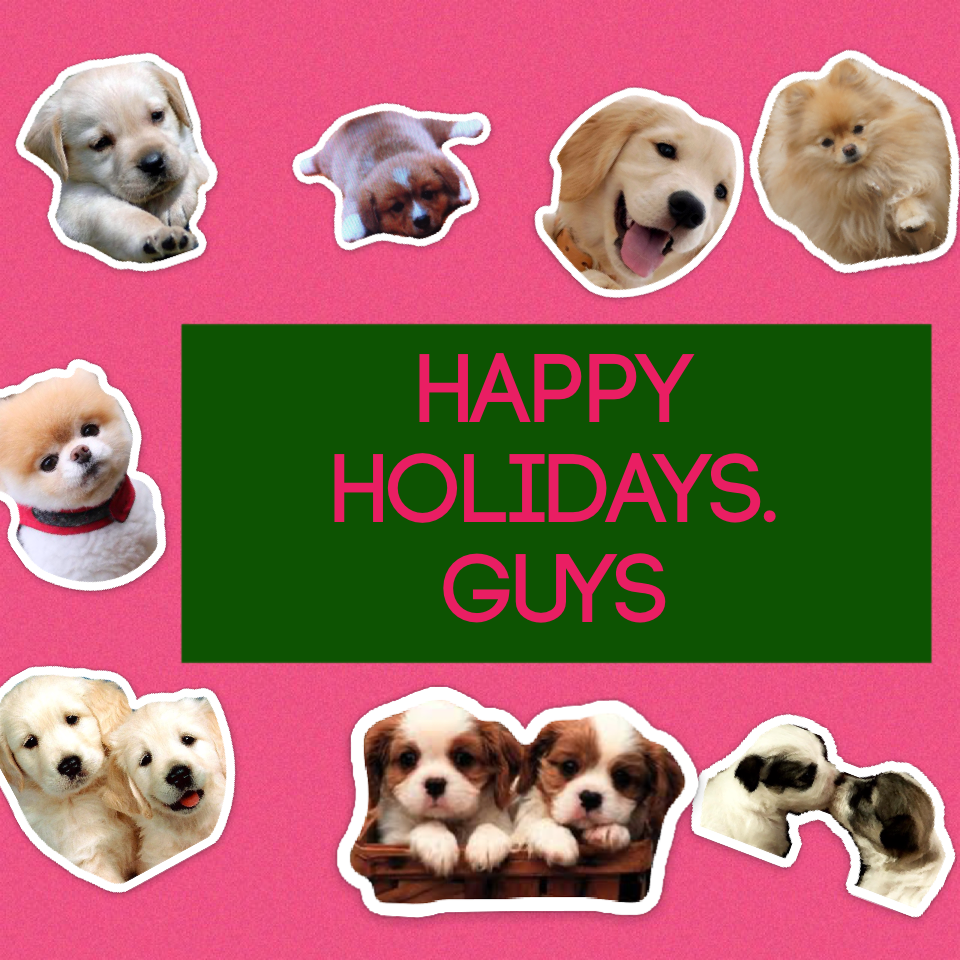 Happy holidays. Guys and New year puppies I love you so much.