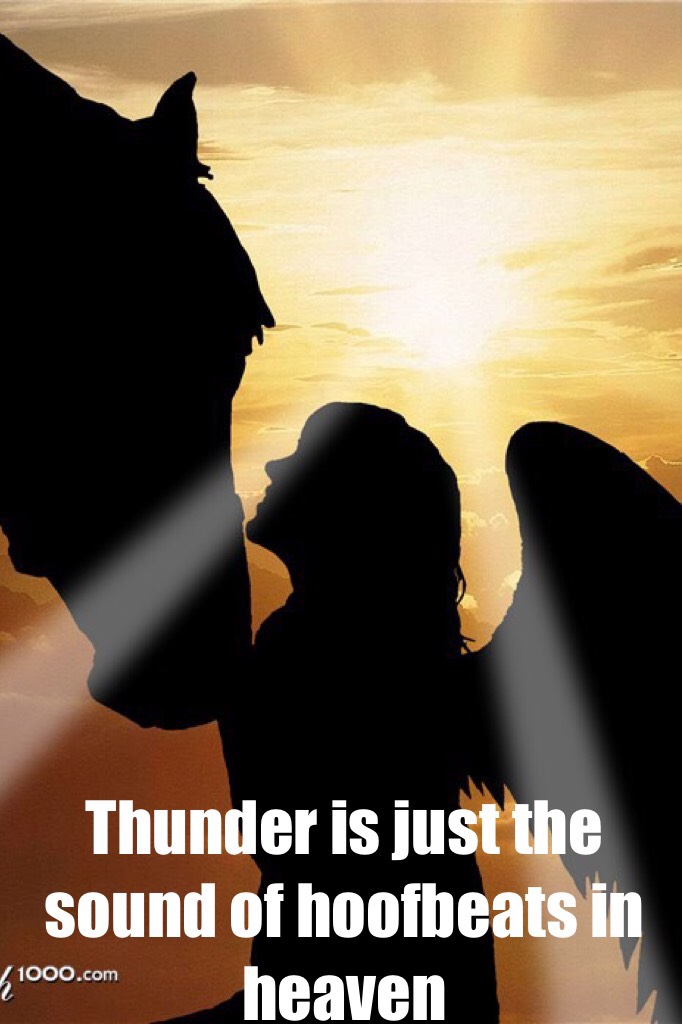 Thunder is just the sound of hoofbeats in heaven