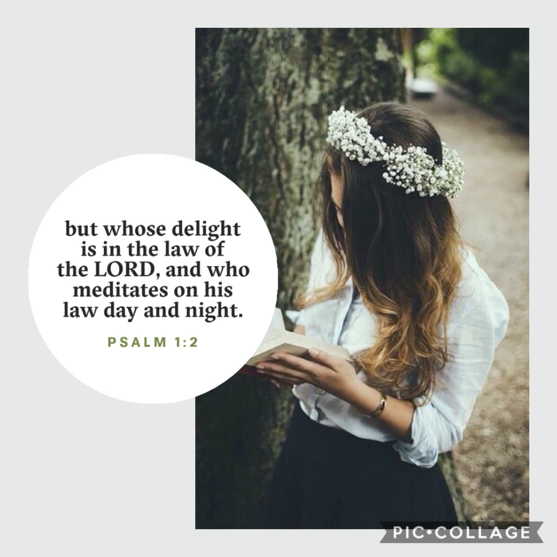 SqueekyPea here! I used this app called Bible Lens to make this wonderful bible verse!! I love this app so, so much! Thank you all so much for your support on our account!