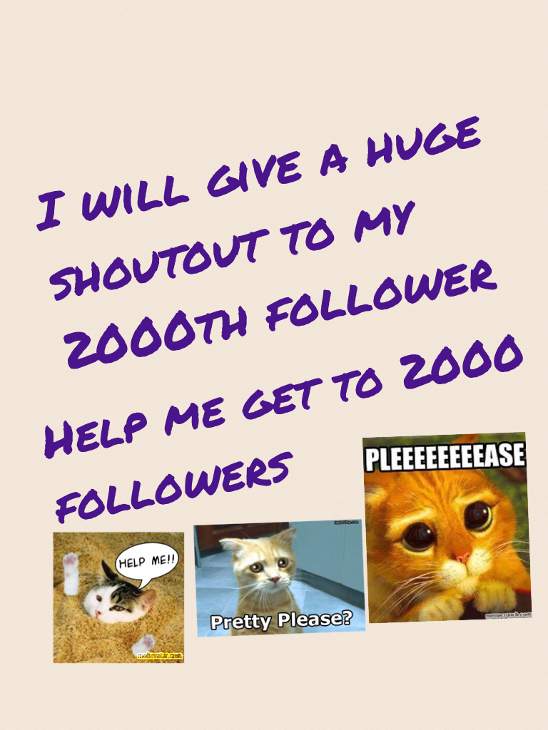 I will give a huge shoutout to my 2000th follower
