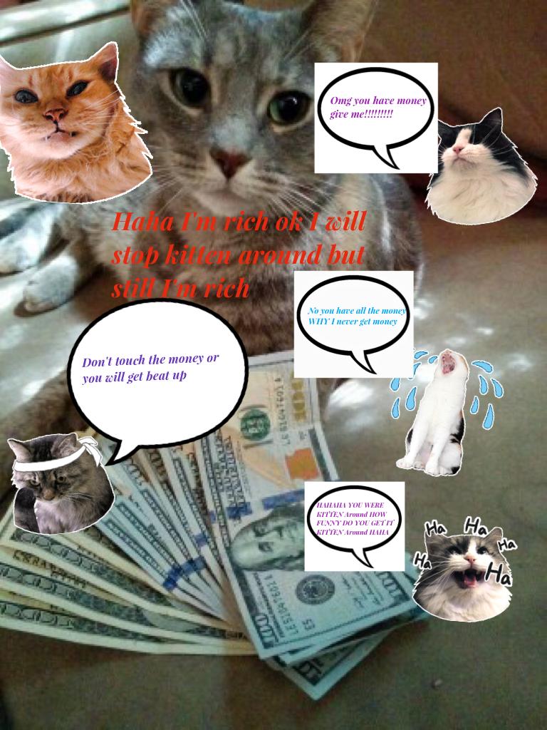 Haha I'm rich ok I will stop kitten around my owner gave me it I'm still rich you will get my money