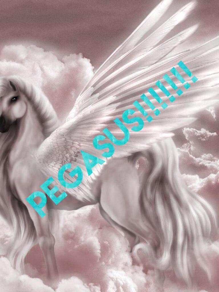 Pegasus!!!!!!!