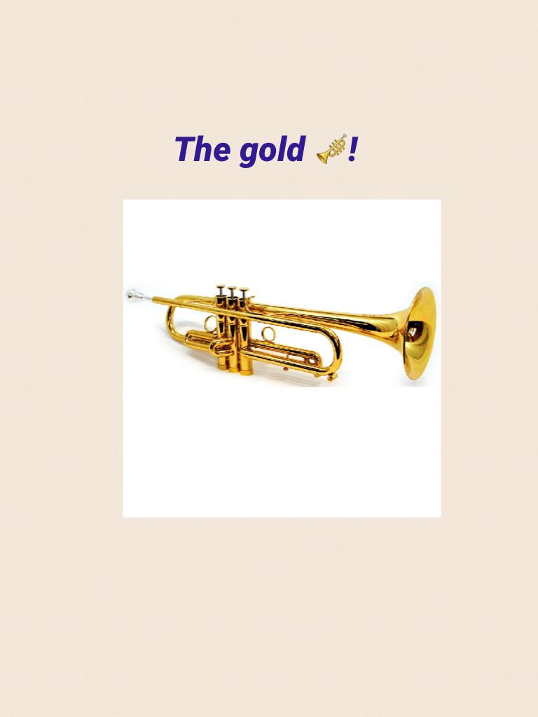 The gold 🎺!

Hi 👋 Diane! Thank you for following me! 

This is your symbol: 🐬
