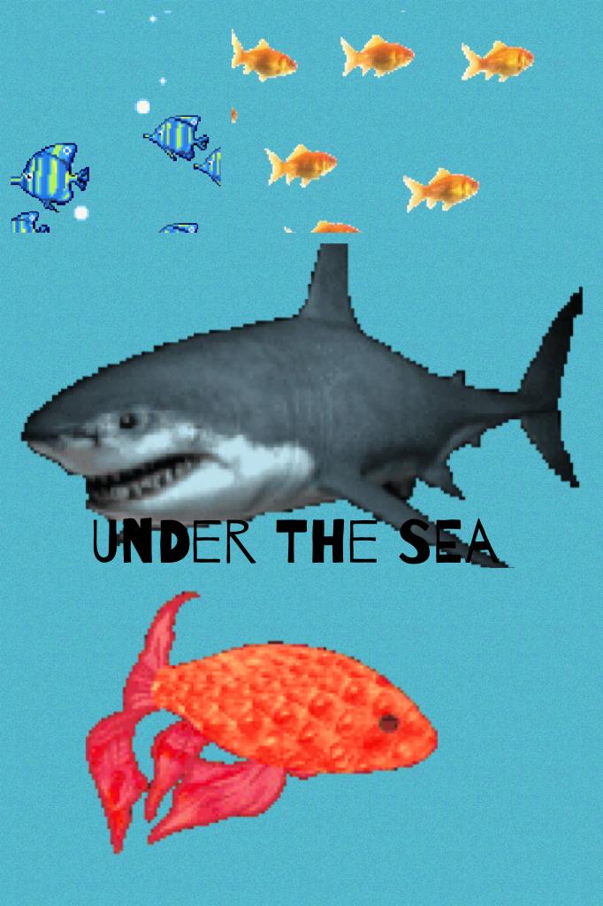 Under the sea 