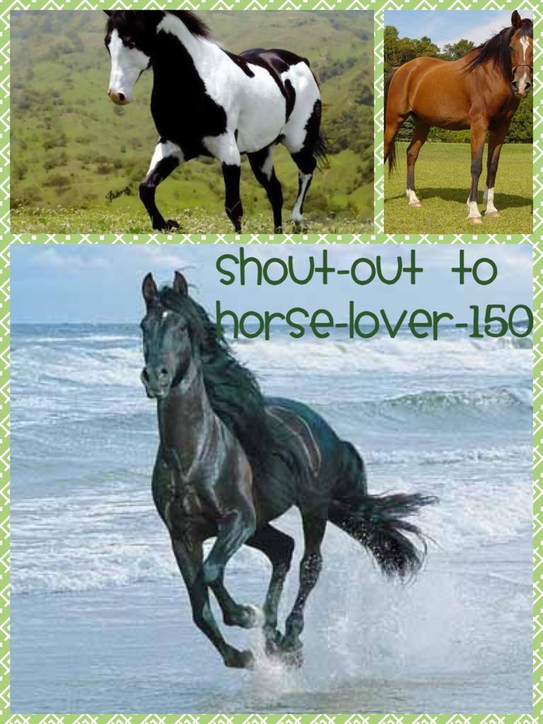 Shout-out to horse-lover-160