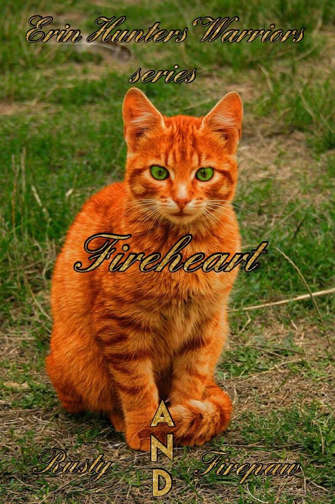 🔥✨Fireheart✨🔥
Ok so I love love LOVE erin hunters warriors series. Comment your favorite warrior or cat if you've read them. 
🔥✨🐈🔥✨🐈🔥✨🐈🔥