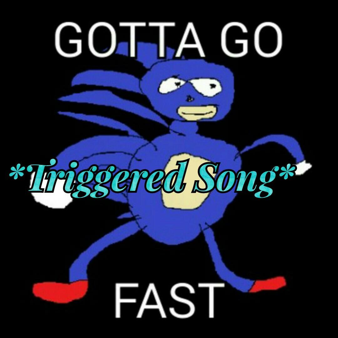 SONIC IM YOU'RE FANS
DON'T RUN