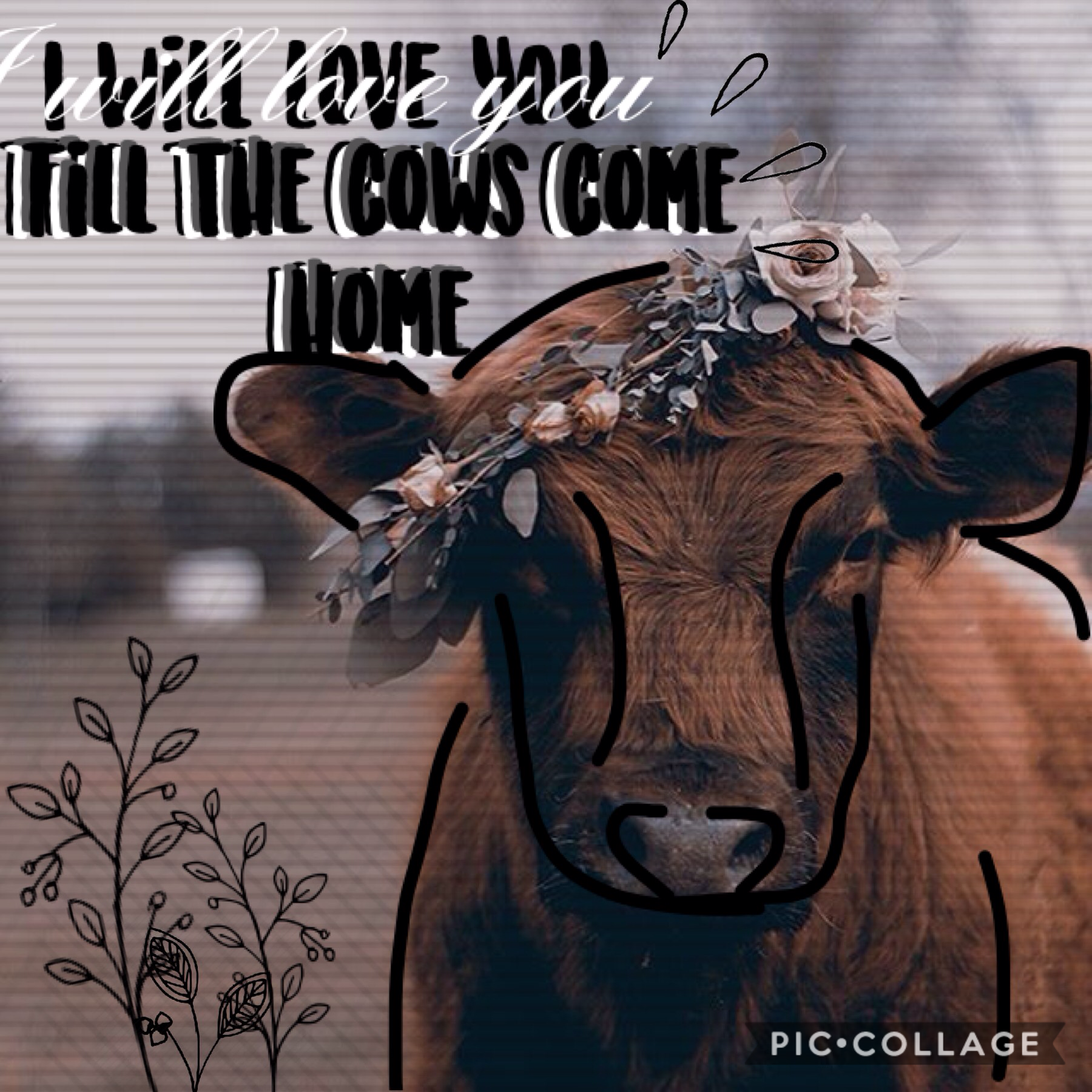 🐮Tapity tap🐮
Entry to @ magpiebald12's contest x