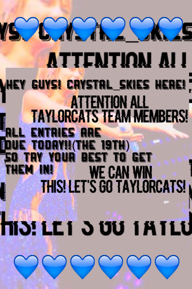 Let's go TaylorCats!!