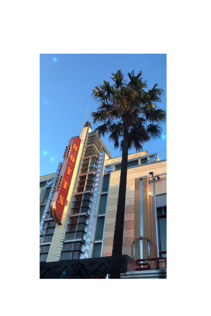 Palm tree 💚🌴