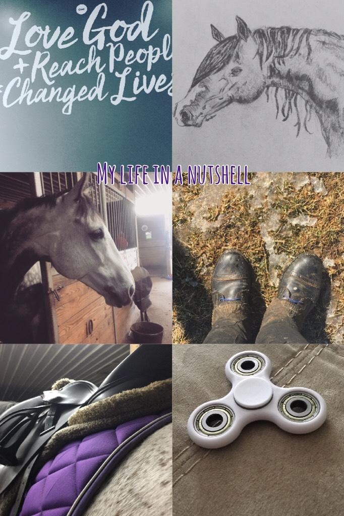 My life in a nutshell🙌🏻
Church,drawing,Caspian(horse),
Riding,Caspian again,and fidget spinner😂😊👍🏻