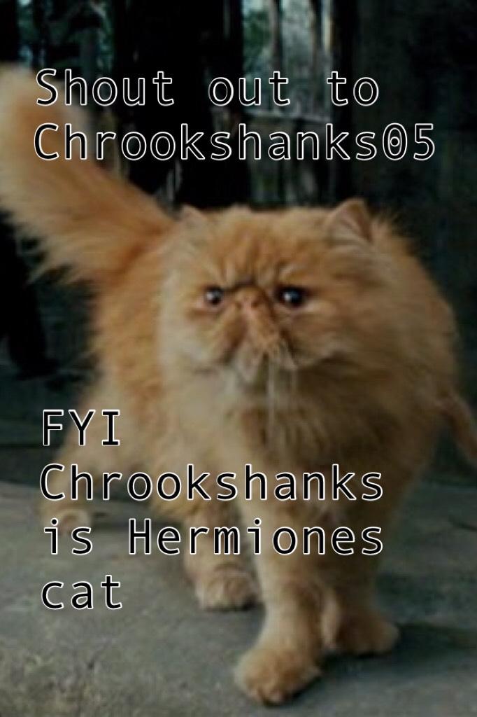 FYI   Chrookshanks is Hermiones cat