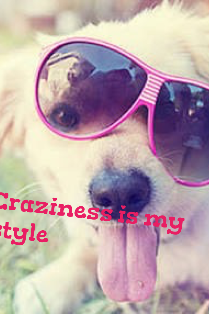 Craziness is my style 