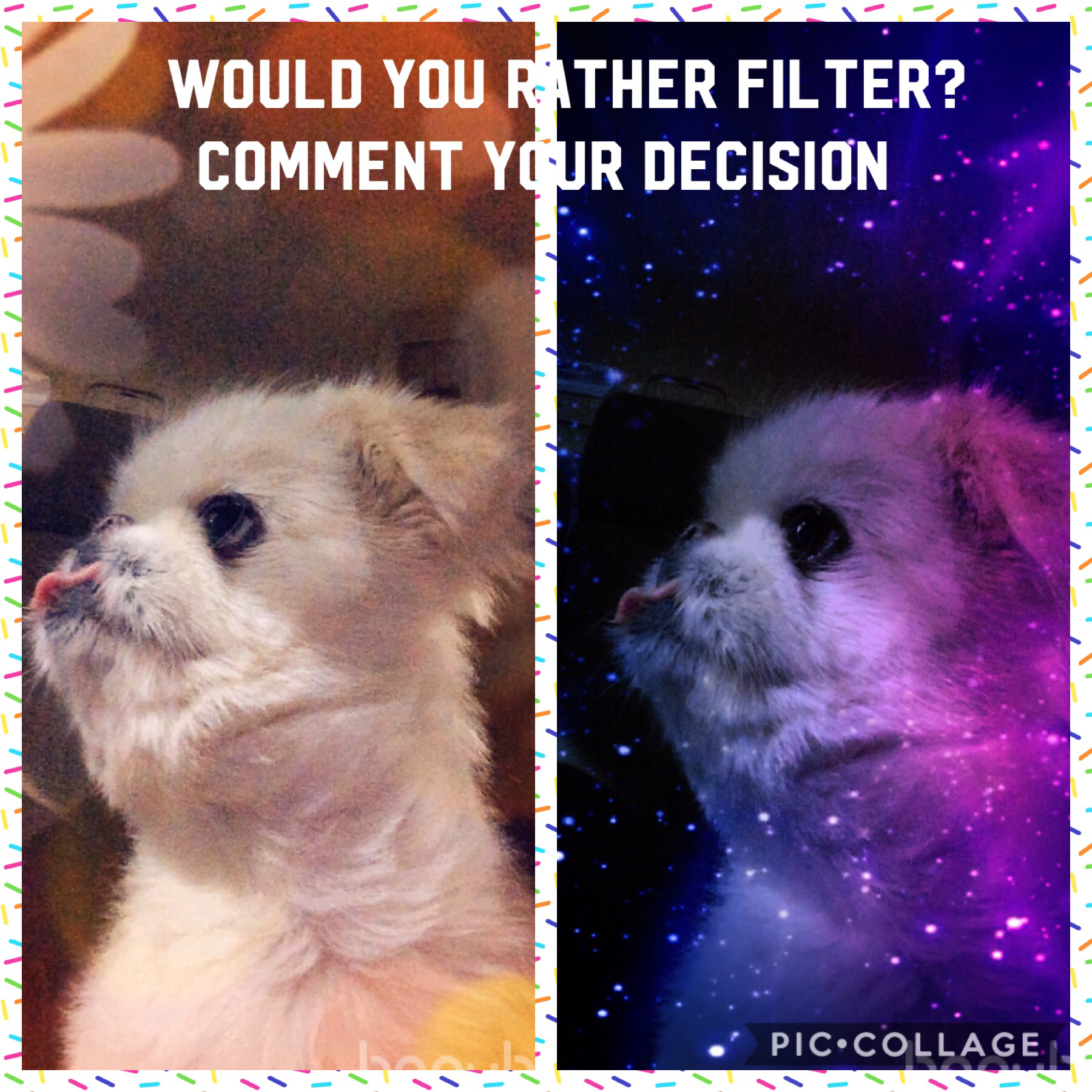 Would you rather space filter, or fall filter? Comment your decision plz!