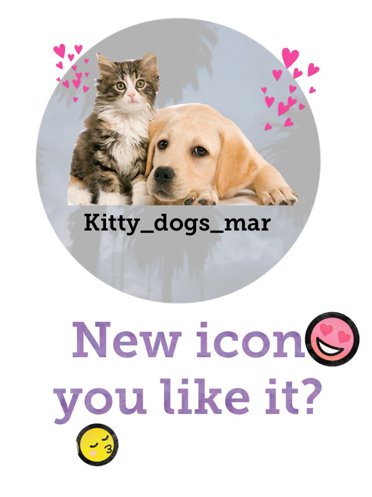 Cats/Kittylover/kitty/catlover/dogs/doggy/puppy/icon/like/it