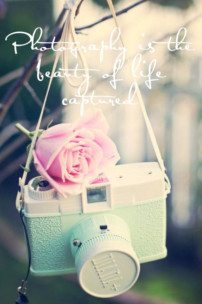 Photography is the beauty of life captured 