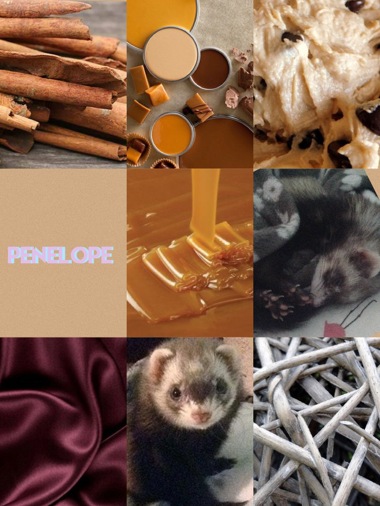 PENELOPE • tags- aesthetic, ferret, pets
