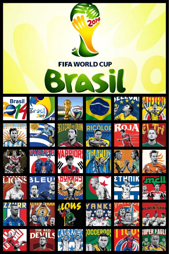 2014 FIFA World Cup ~Brazil~