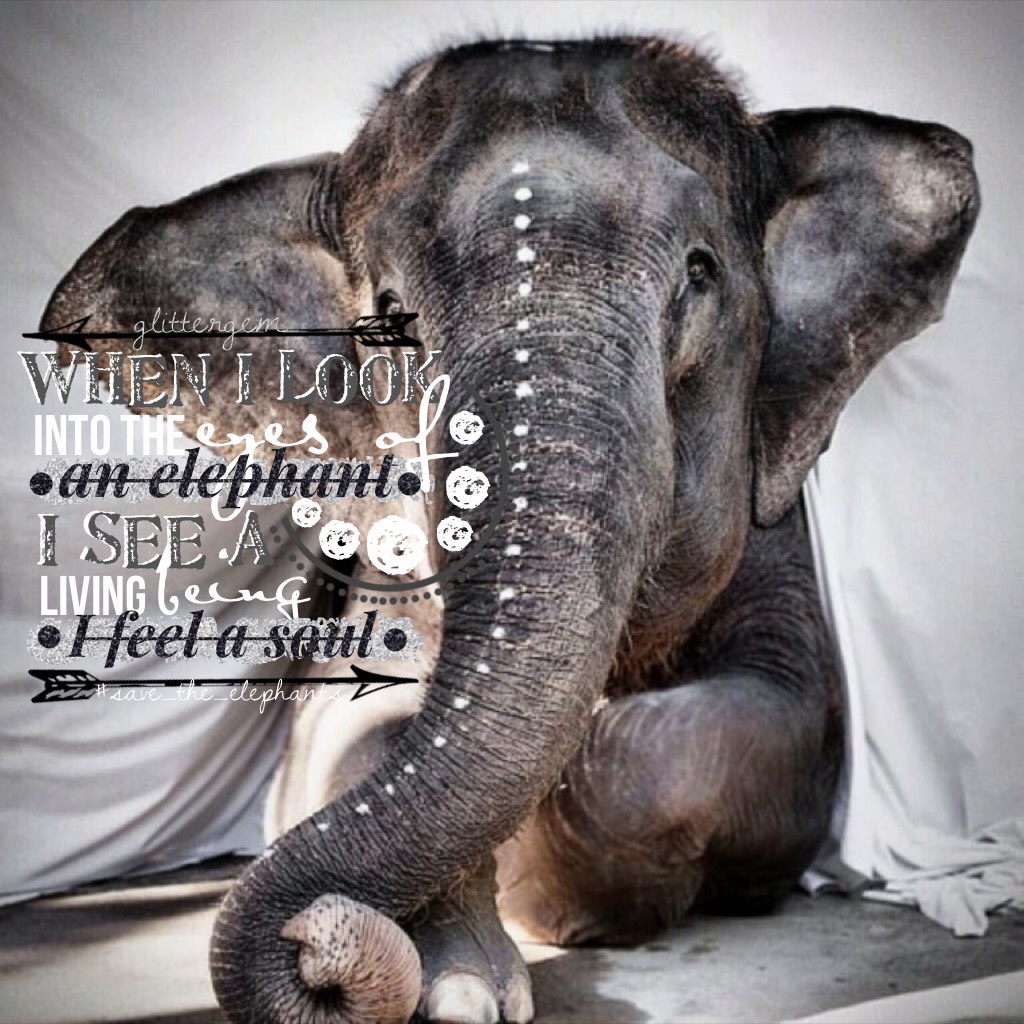 Tap the 🐘!

This is an entry for goofygenius's games! #save_the_elephants! Hope you have a great day! QOTD: Have you ever seen in person an elephant? ❤️u!🐘