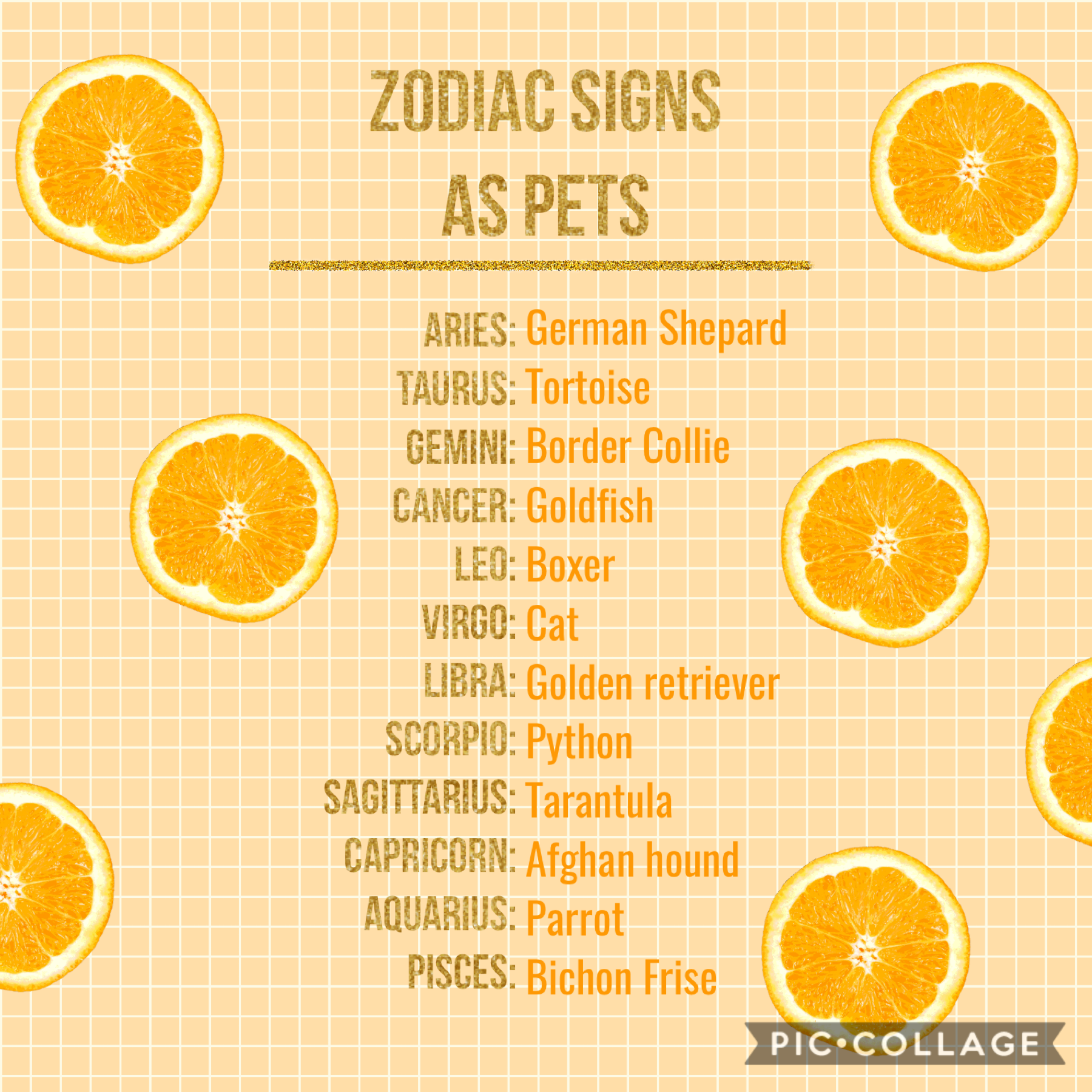 #Zodiac4 let me know if you want more or less zodiac stuff In the comments 🌟✨✨✨✨