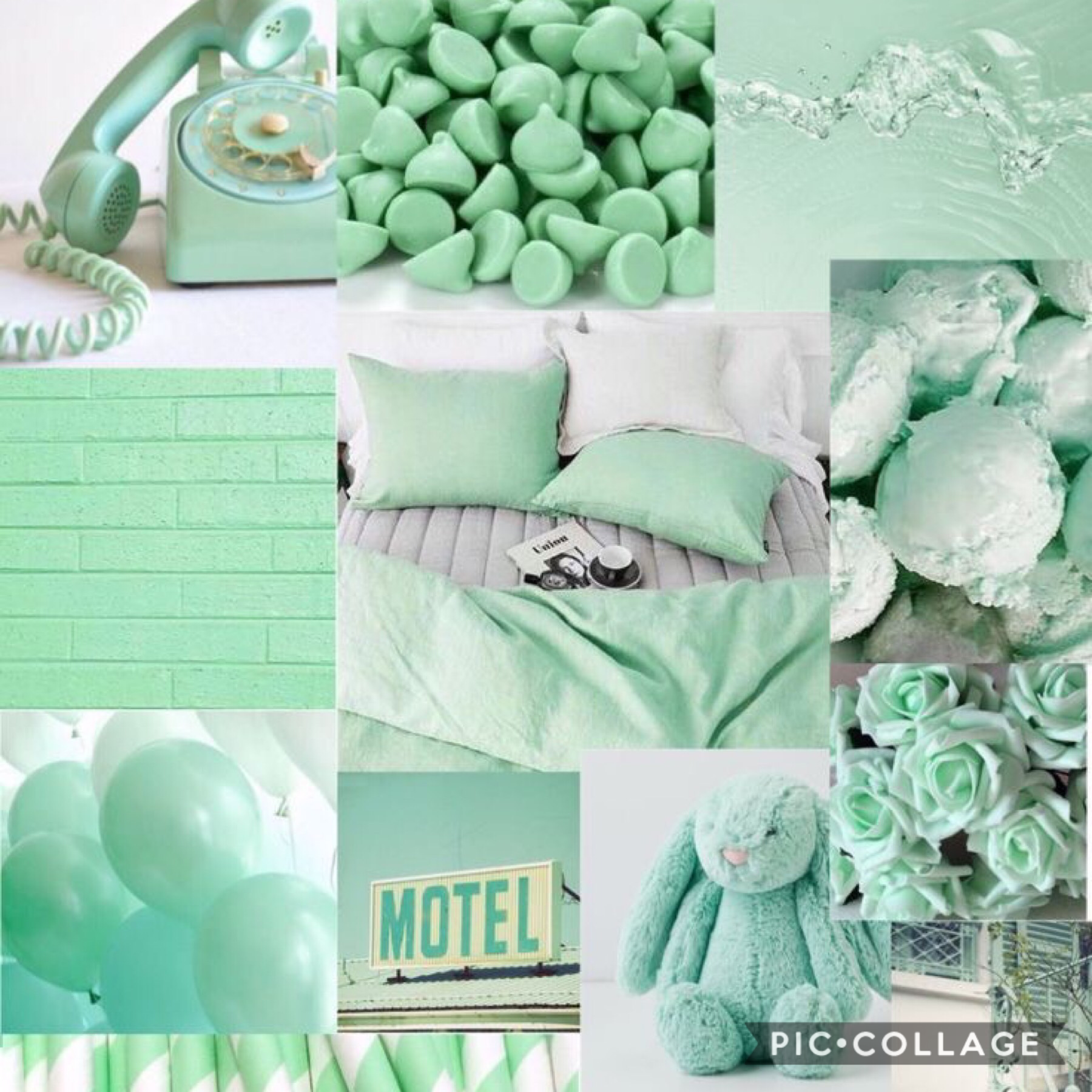💚Tap💚

Color of the day is... GREEN!!