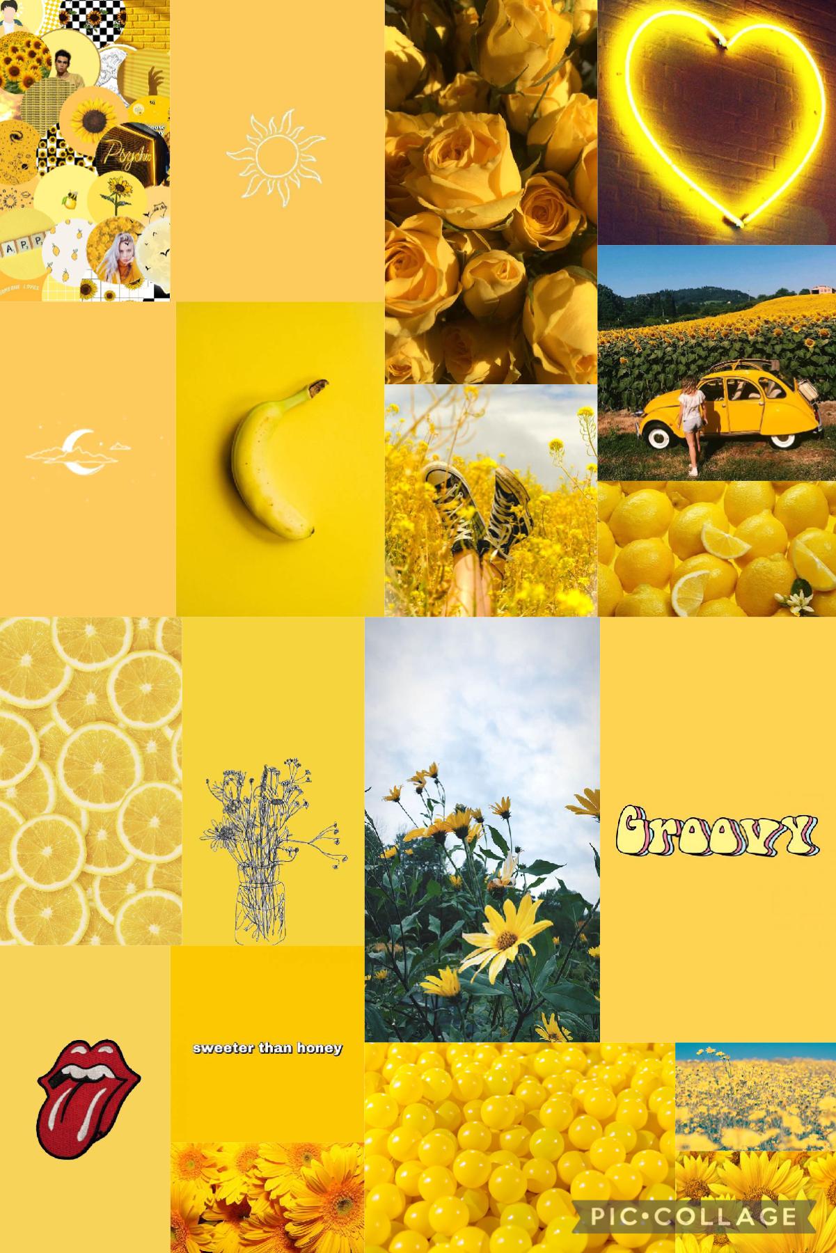 💛🌻🐝Tap🐝🌻💛
Here’s a yellow aesthetic collage! Put in the comments if you have any ideas!