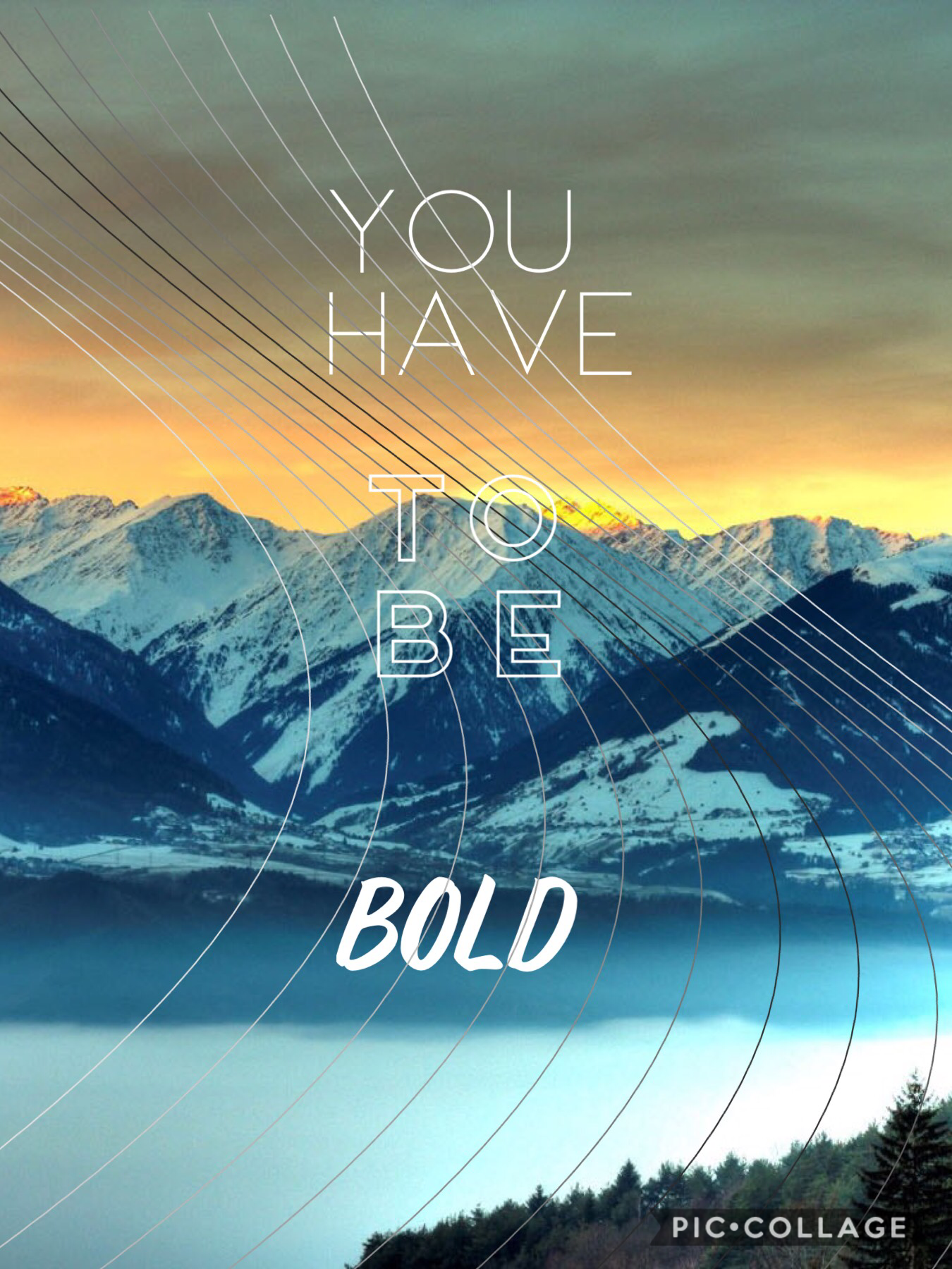 Bold is the answer