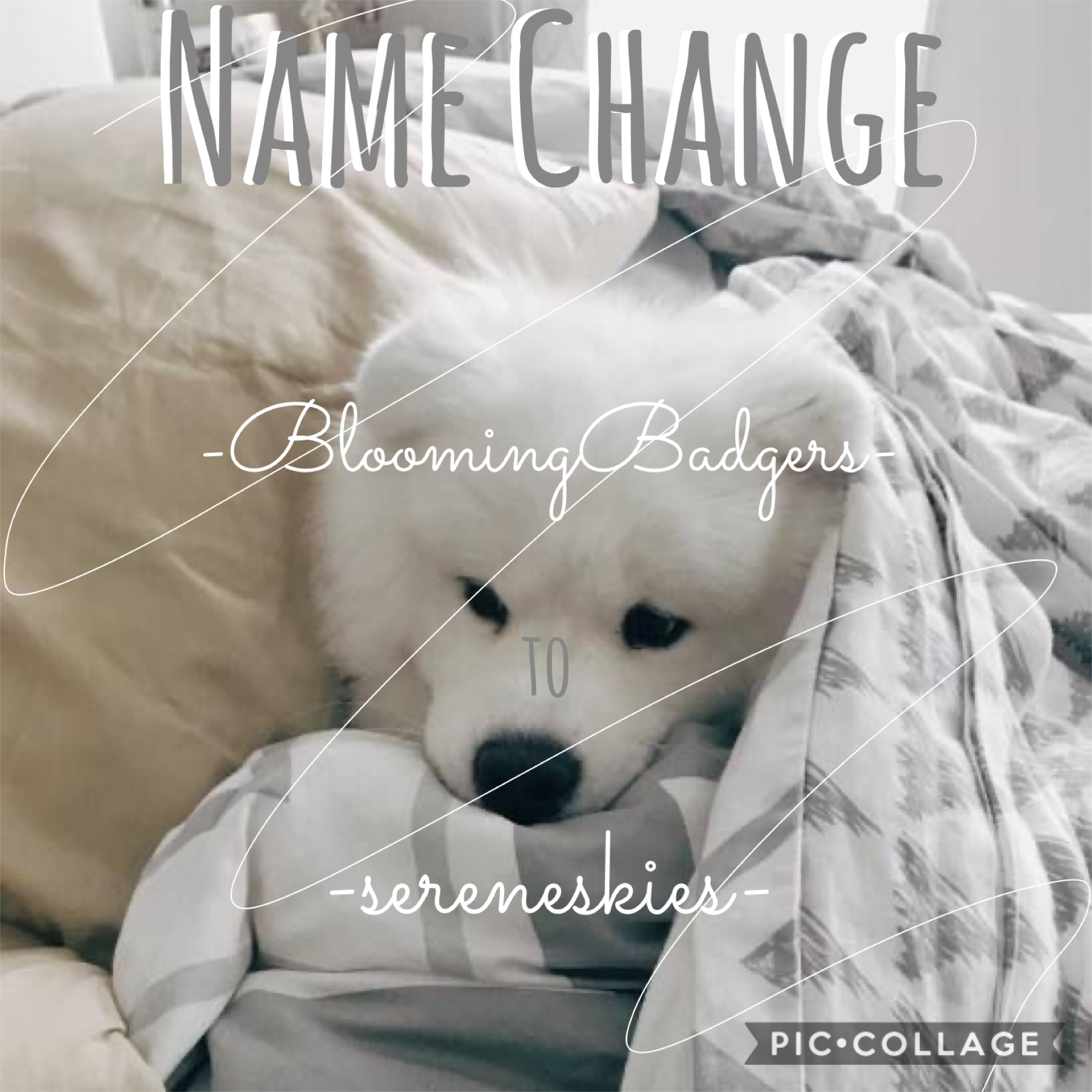 t a p

heyy y’all 
i think it’s time for a fresh name :)
i hope you like my new name
please go enter my fall games!!!!
and i would love it if you checkout my other socials😉
💞byee💞