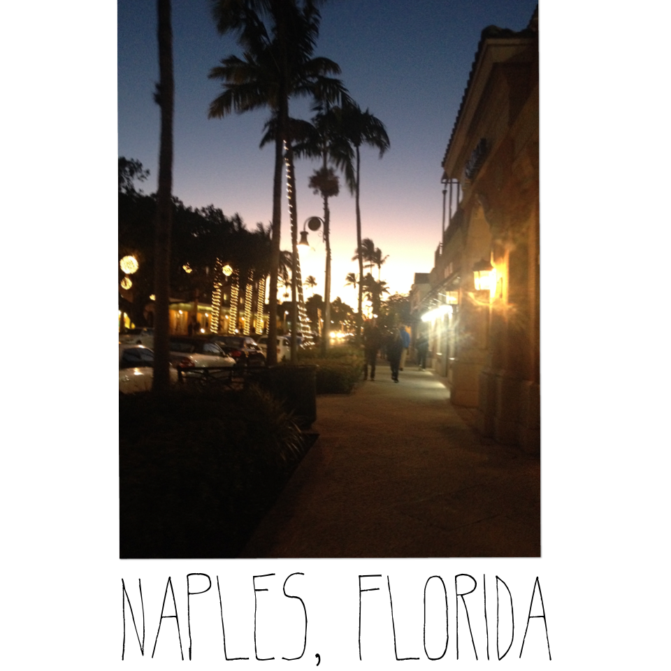 taken in: Naples, Florida