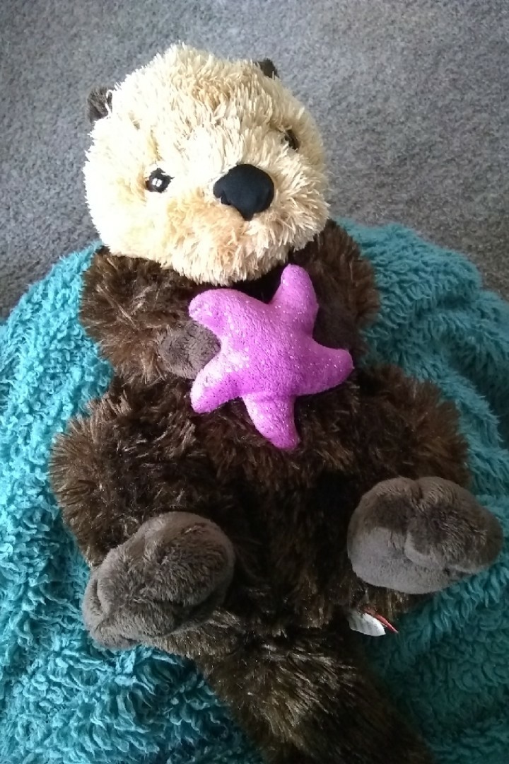 this otter was my Valentine's Day gift, but it's also a symbolic adoption, so it's donating to help endangered animals, he knows me so well lol, and today I met his older sister and her 3 daughters which was a bit intimidating but really fun