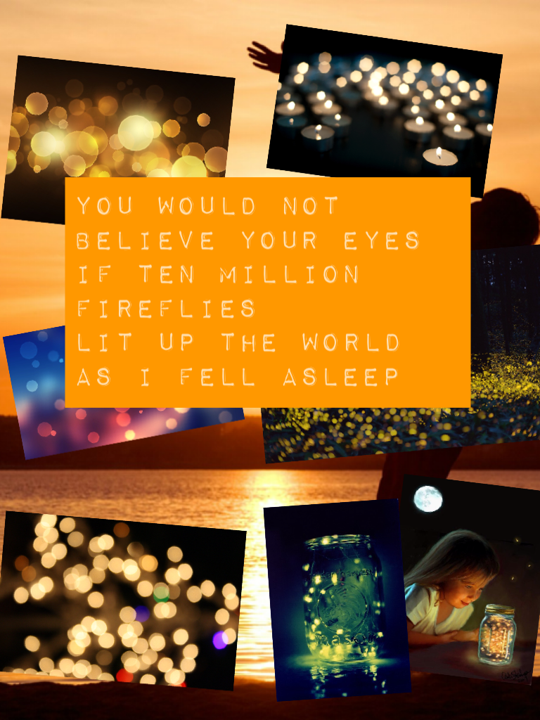 You would not believe your eyes
If ten million fireflies
Lit up the world as I fell asleep