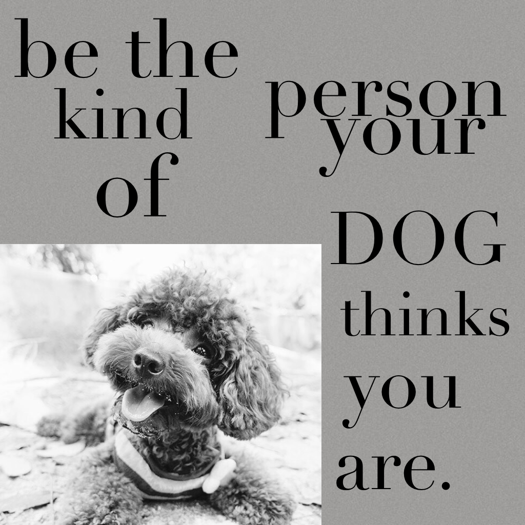 Be the kind of person your dog thinks you are. 