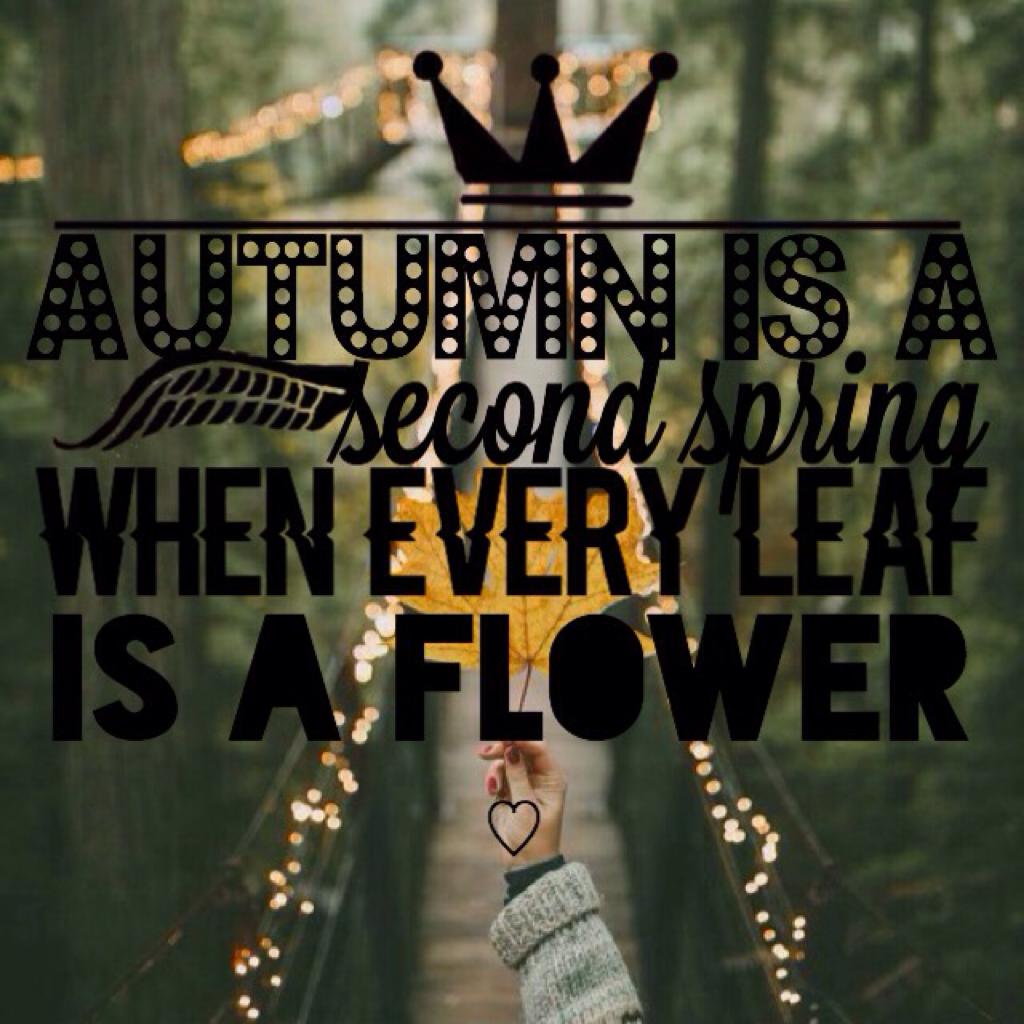 🍃🌻Hello Loves🌻🍃
♡1/7♡
💐Fall theme💐
Hello! Hope you like this rhonna edit💖 Please drop a like if you want more and comment down below recommendations🌼
♡