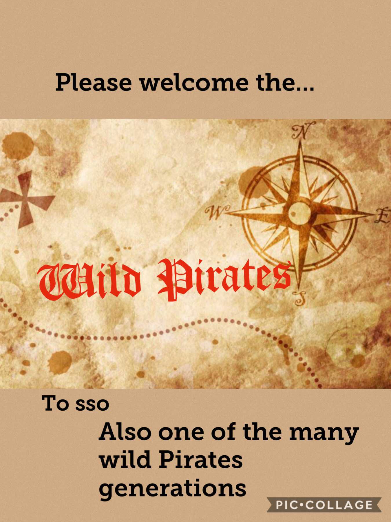 Please welcome the Wild Pirates to sso we are currently at 24 members if you would like to join you must be on the frost valley server