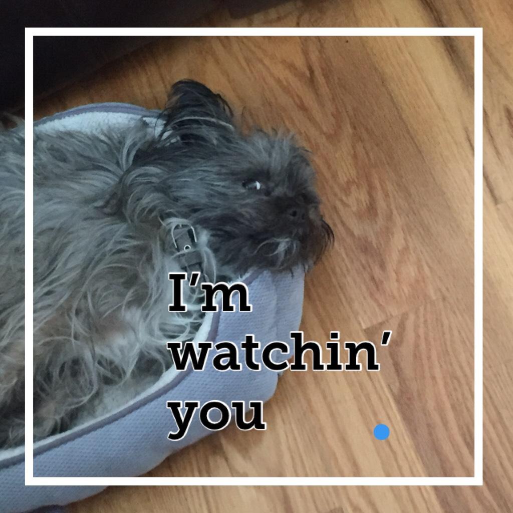 I’m watchin’ you