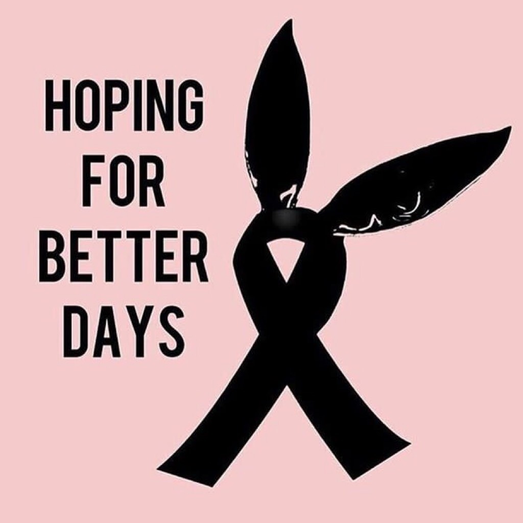 I'm so sad about what happened in Manchester😞 When will people stop the violence?❤️ It just causes pain and tragedy. Just spread love. I'm honestly disappointed in what humanity has become.😓💞