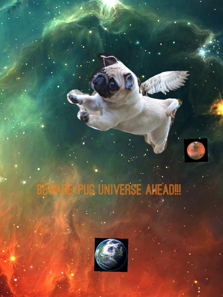 Beware: pug universe ahead!!!
