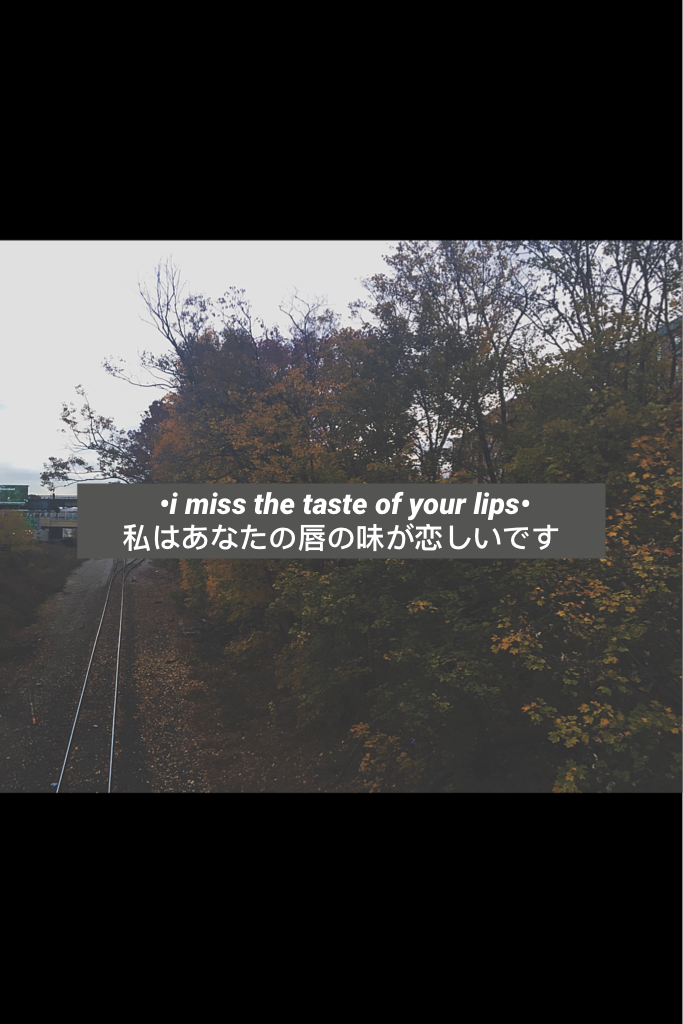  •i miss the taste of your lips•
私はあなたの唇の味が恋しいです