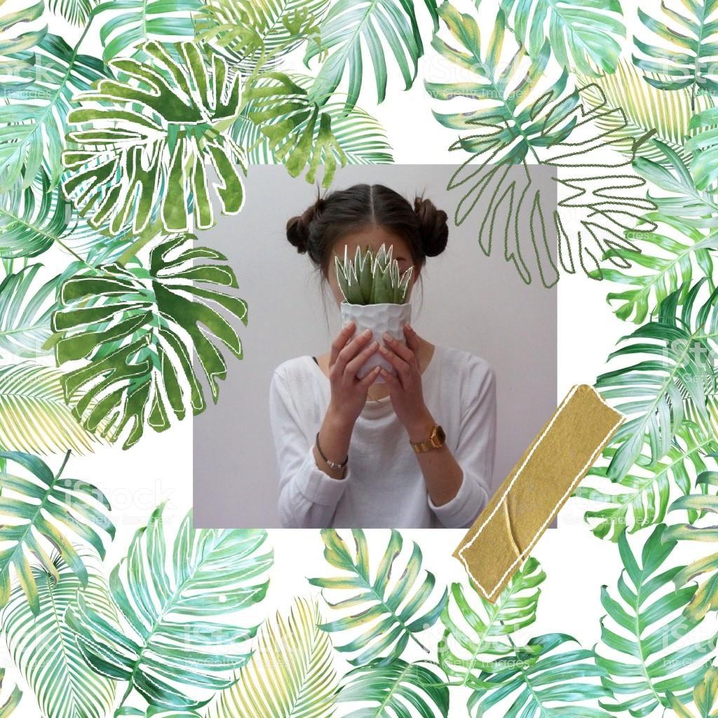 🌴tap🌴
Based off of a collage by chickenpants32

