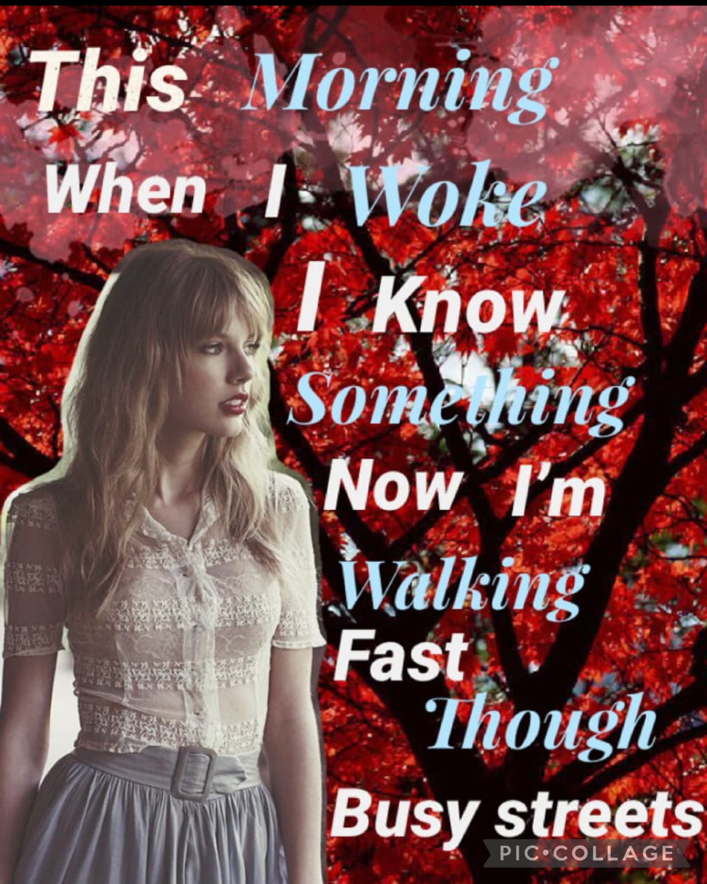 Taylor Swift red collage with Everything has changed and state of grace lyrics 29.4.21